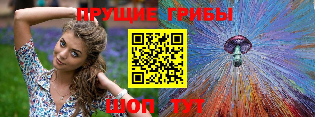 Псилоцибиновые грибы MAGIC MUSHROOMS  Вход с VPN  Ярославль 